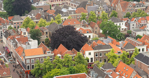 Ebben tree nursery 10-20-30 rule trees in Delft