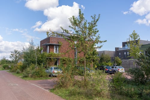 Bomen leveren ecosysteemdiensten aan woonwijken zoals de wijk Strowijk in Lent
