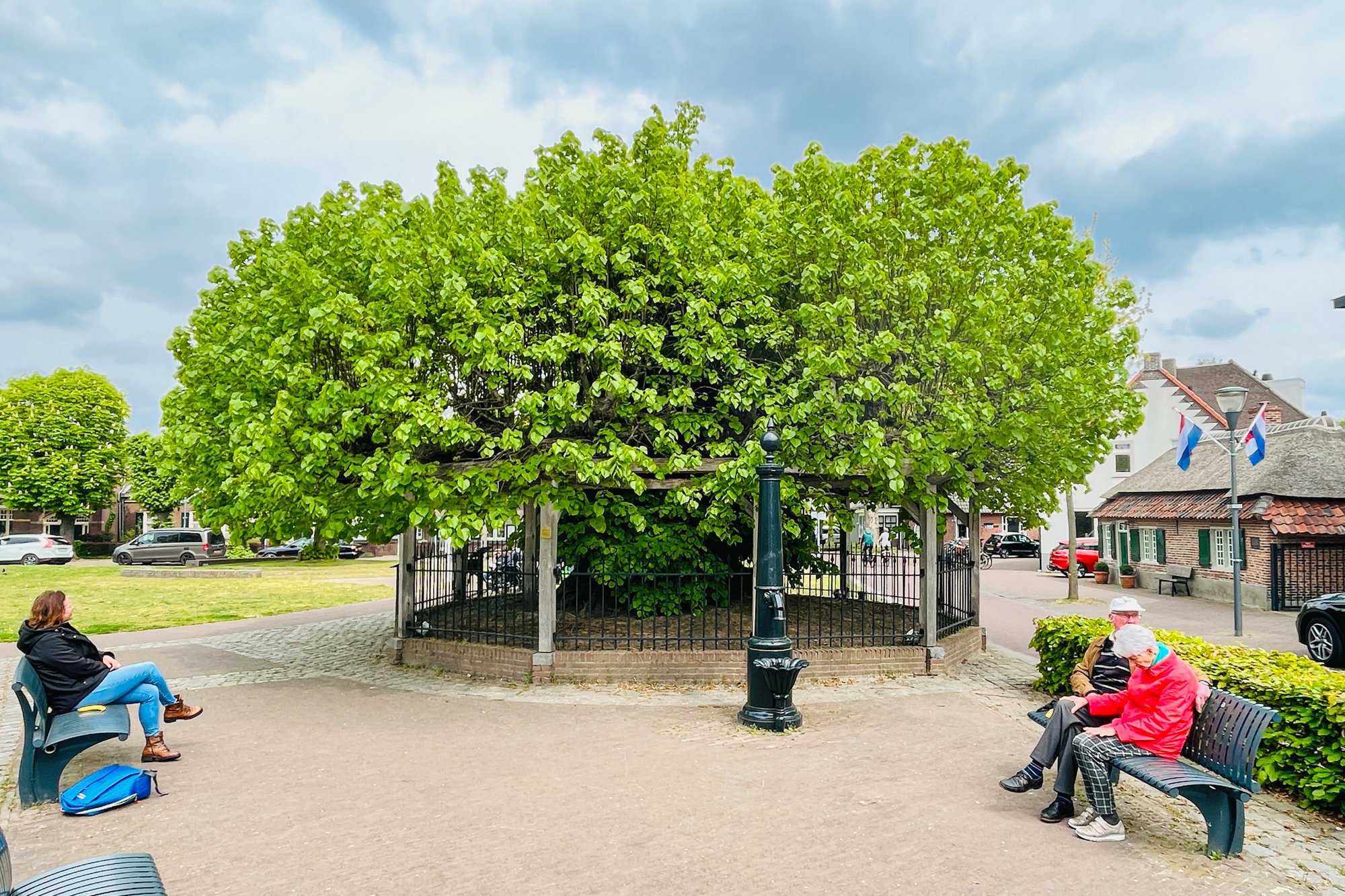Nuenen - Prieellinde
