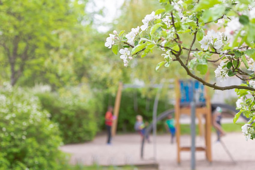 Bäume und Sträucher auf Schulhöfen und Spielplätzen